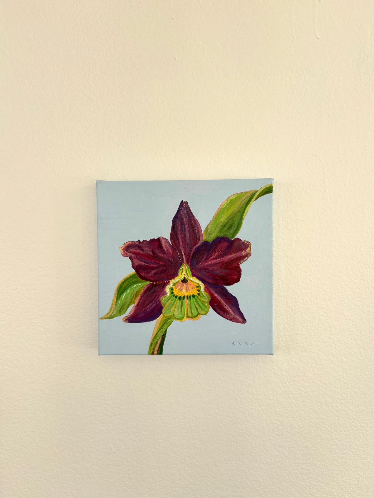Peruvian Orchid