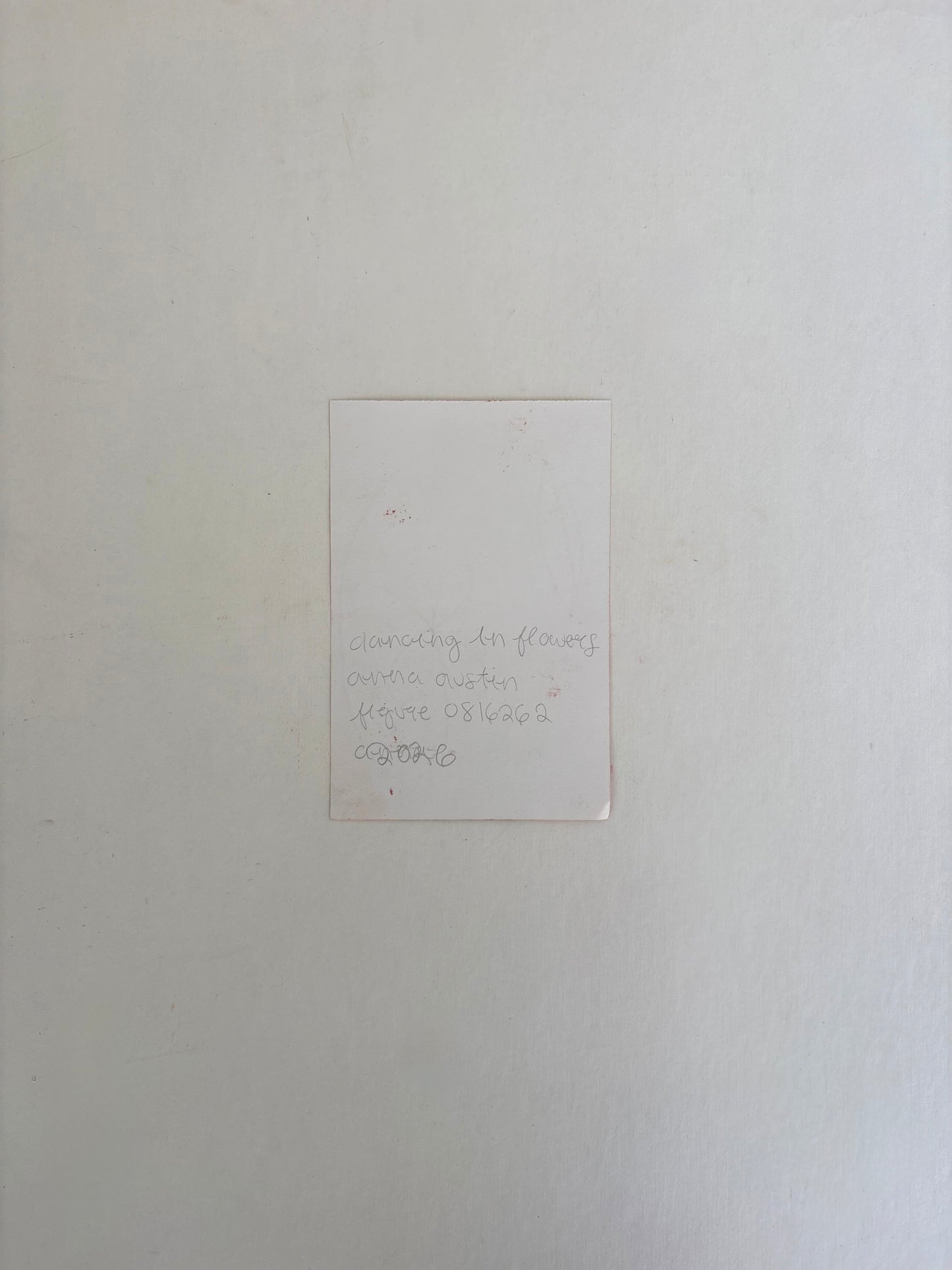 Figure 0816262