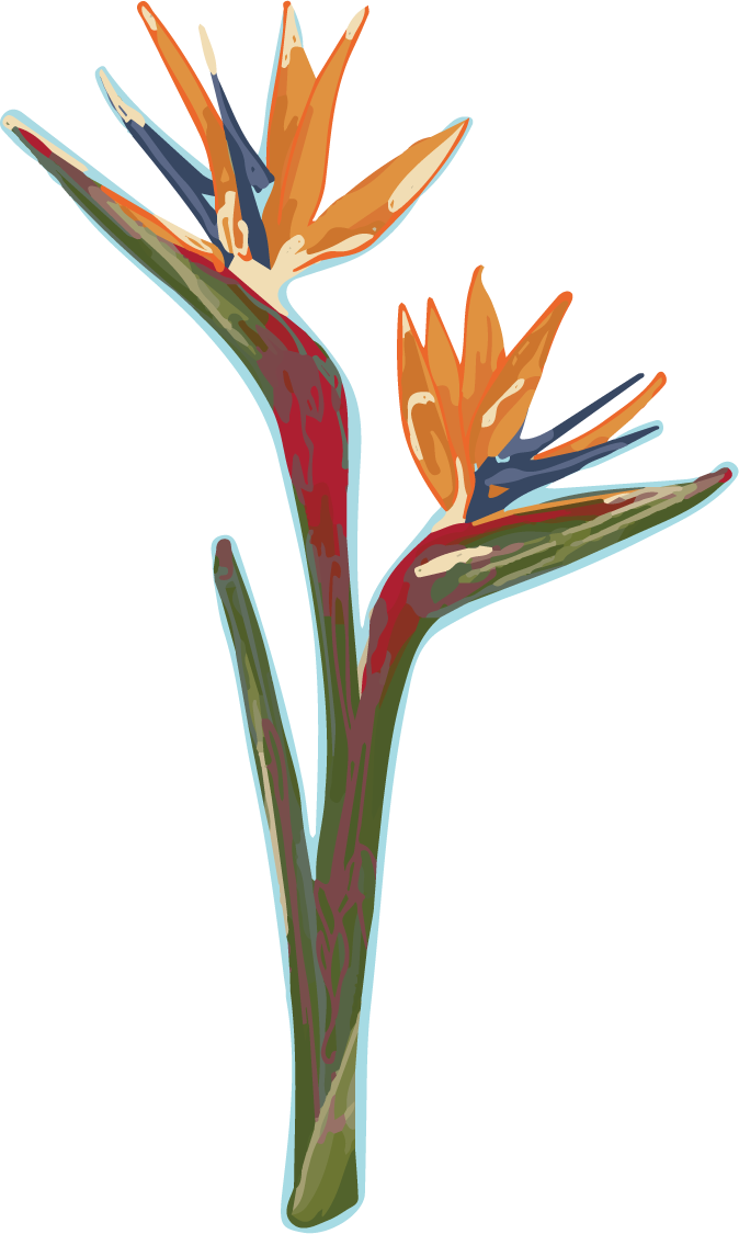 Birds of Paradise Sticker