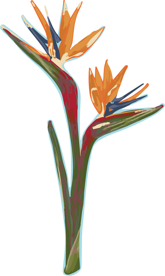 Birds of Paradise Sticker