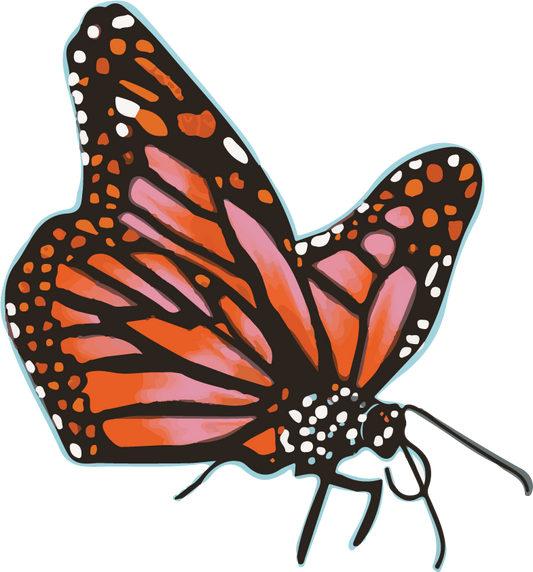 Closed Monarch Sticker