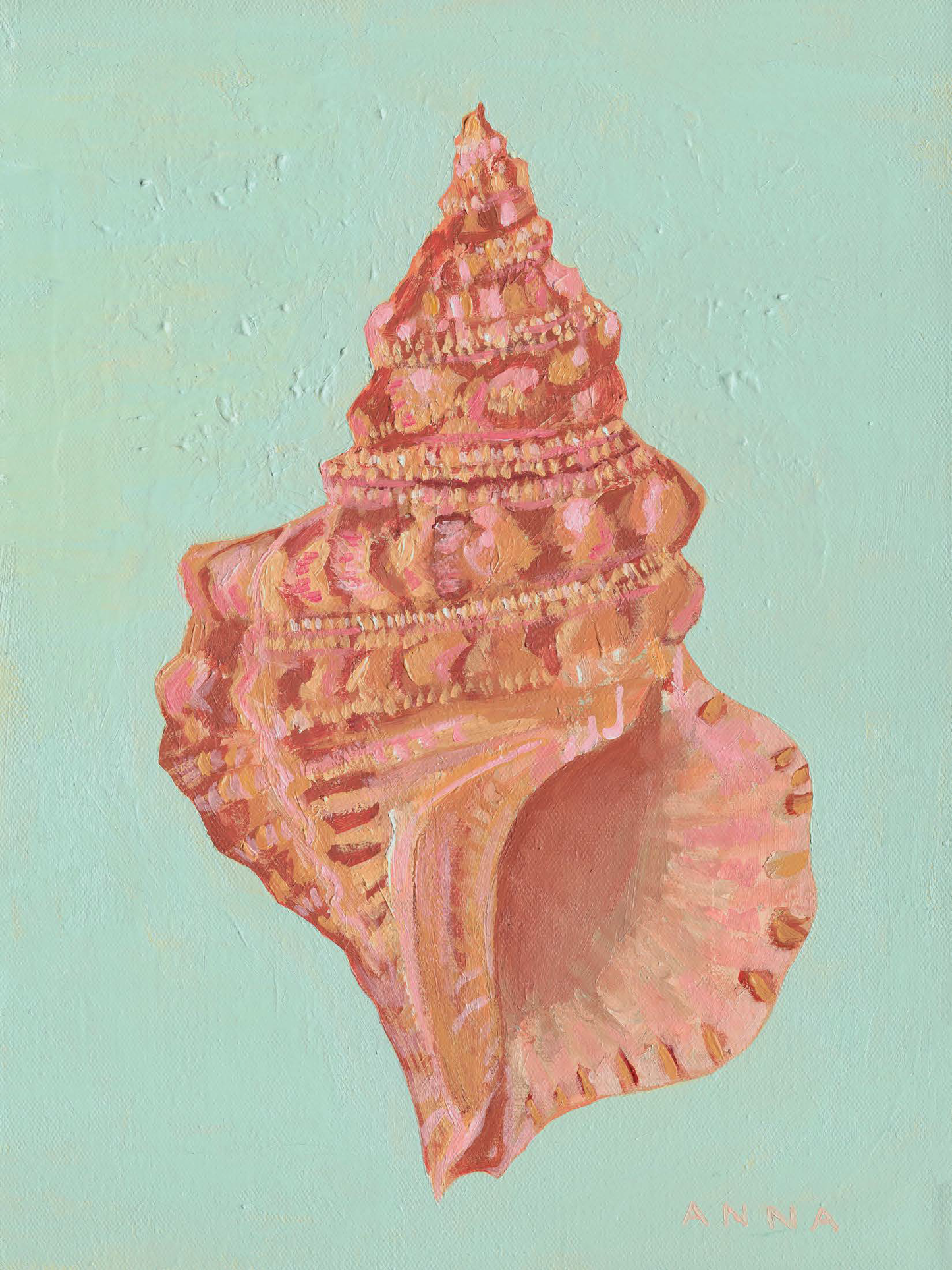 November Conch Print