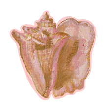 Bahama Conch 2 Sticker