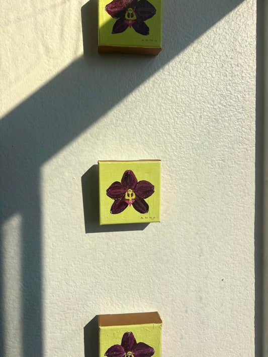 Tiny Orchids Set