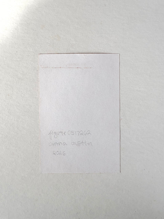 Figure 0517262