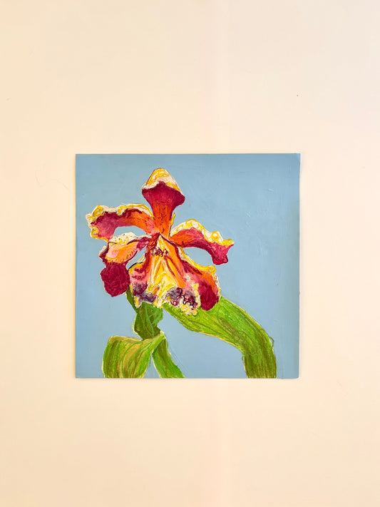 Peru Floral Study 1