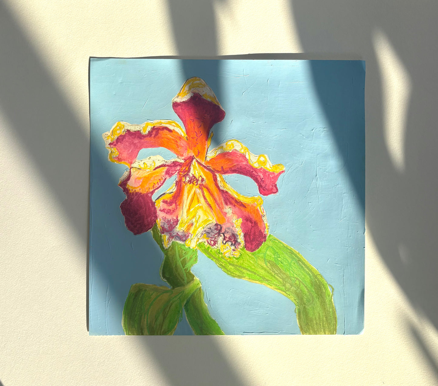 Peru Floral Study 1