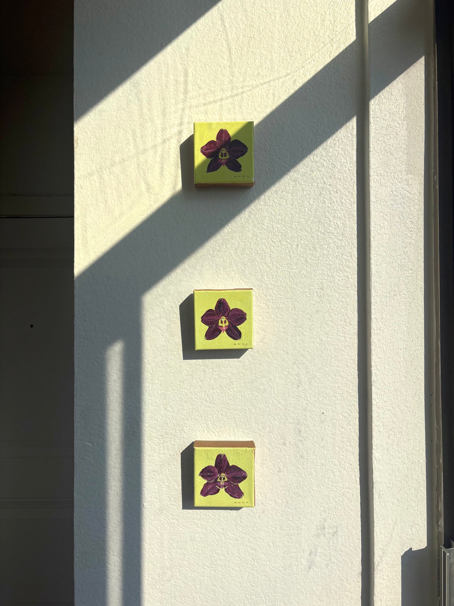 Tiny Orchids Set