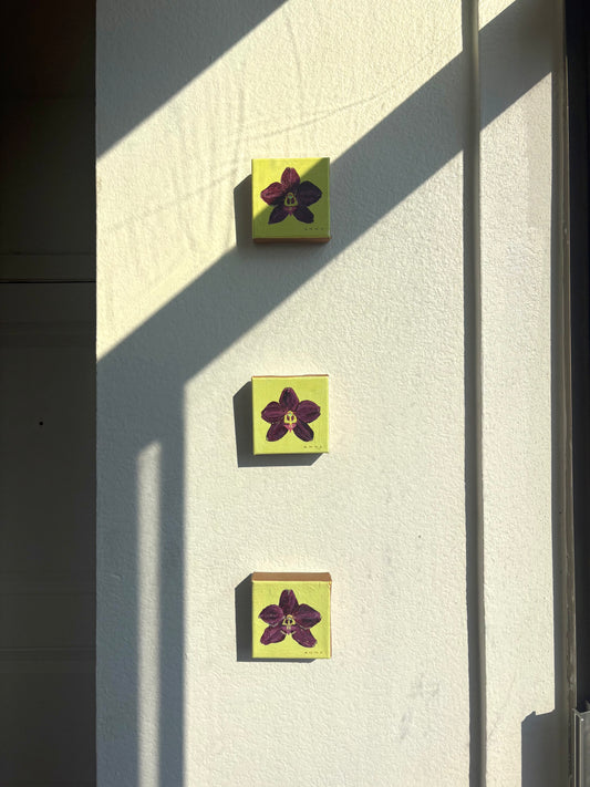 Tiny Orchids Set