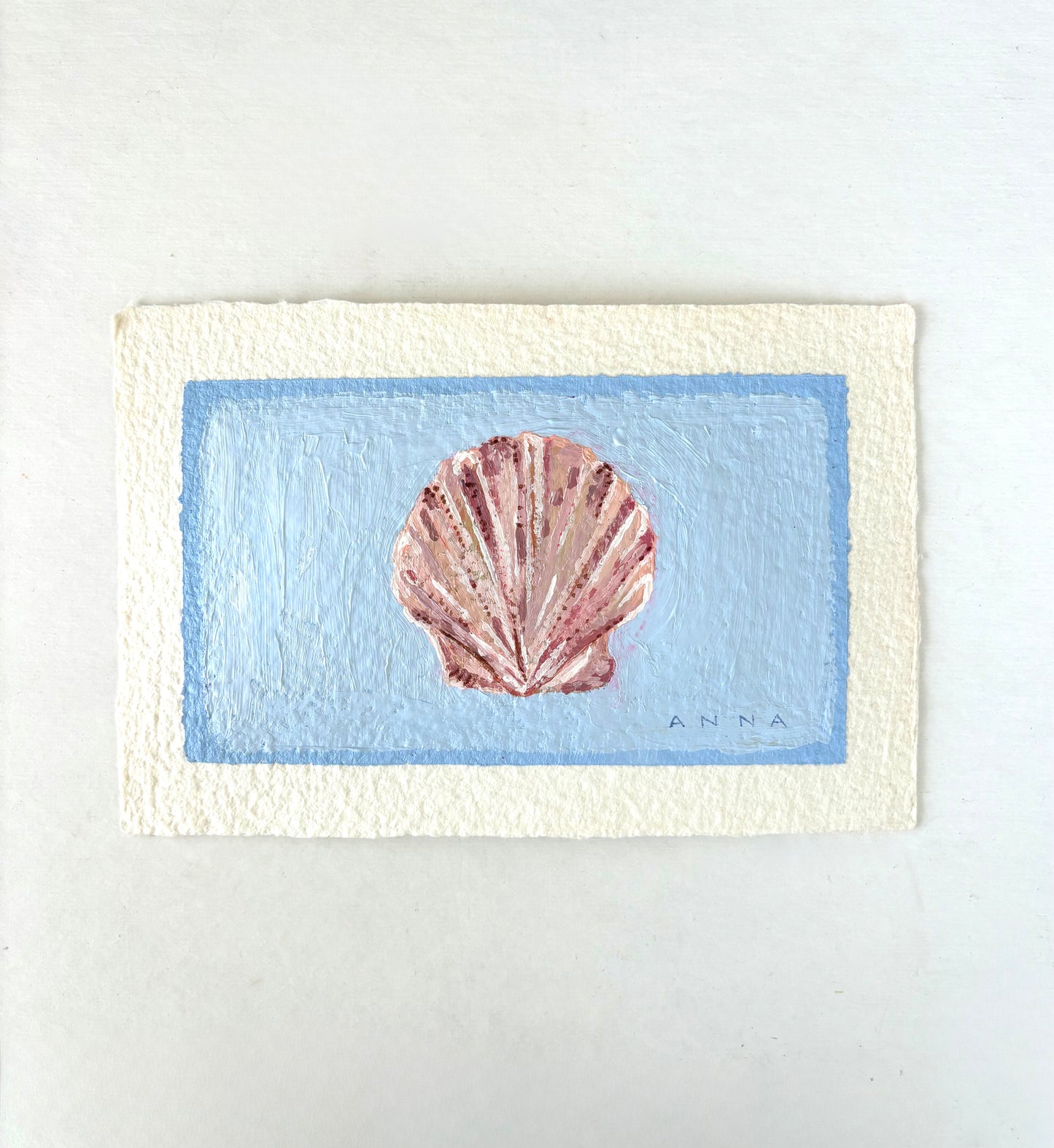 Seashell 0530261