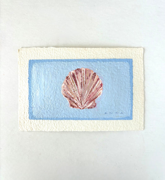 Seashell 0530261
