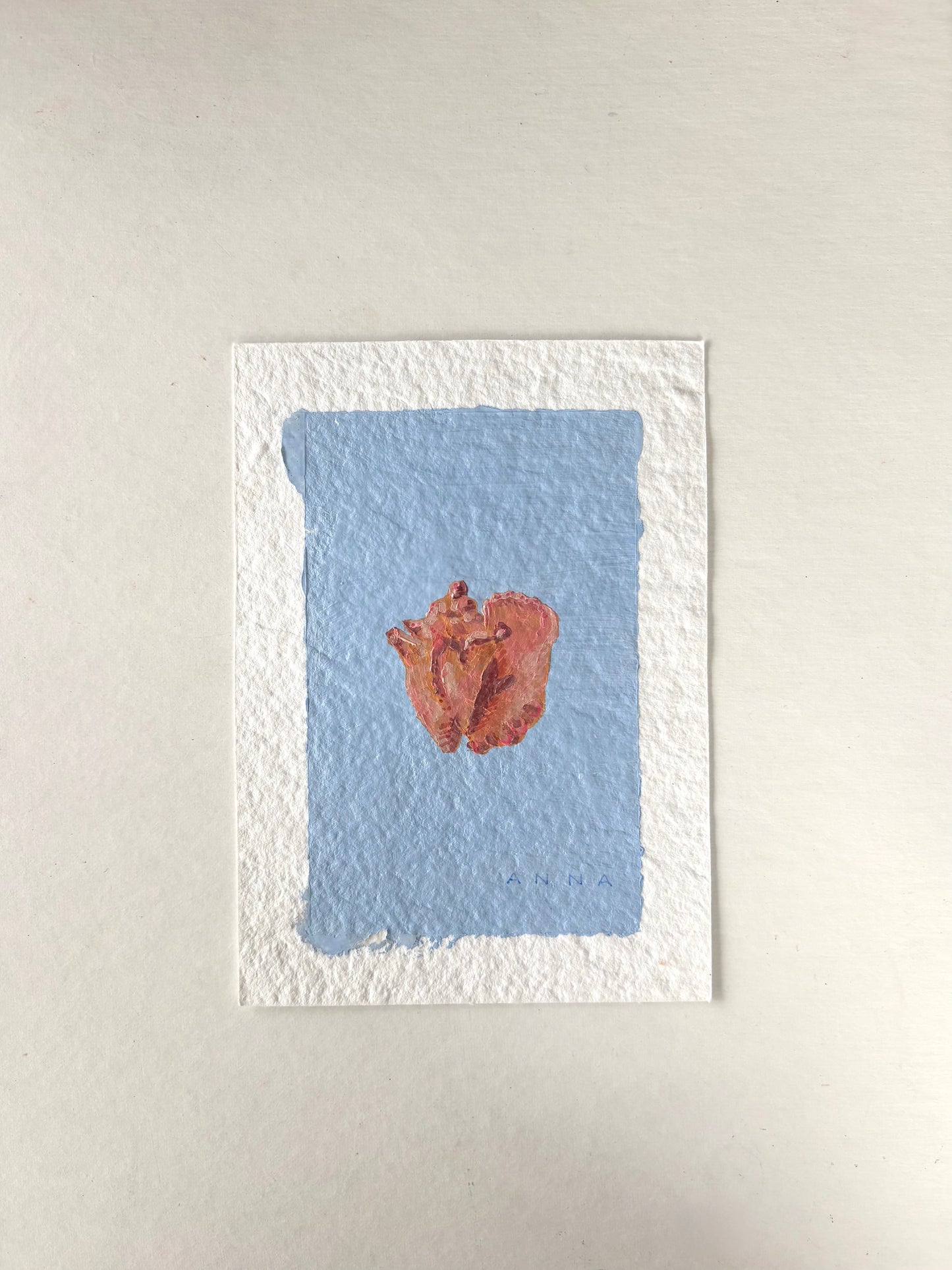 Seashell 0621262