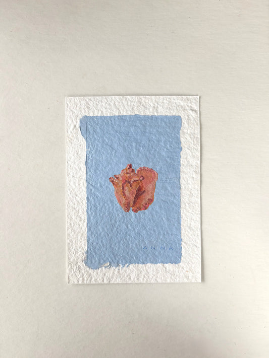 Seashell 0621262