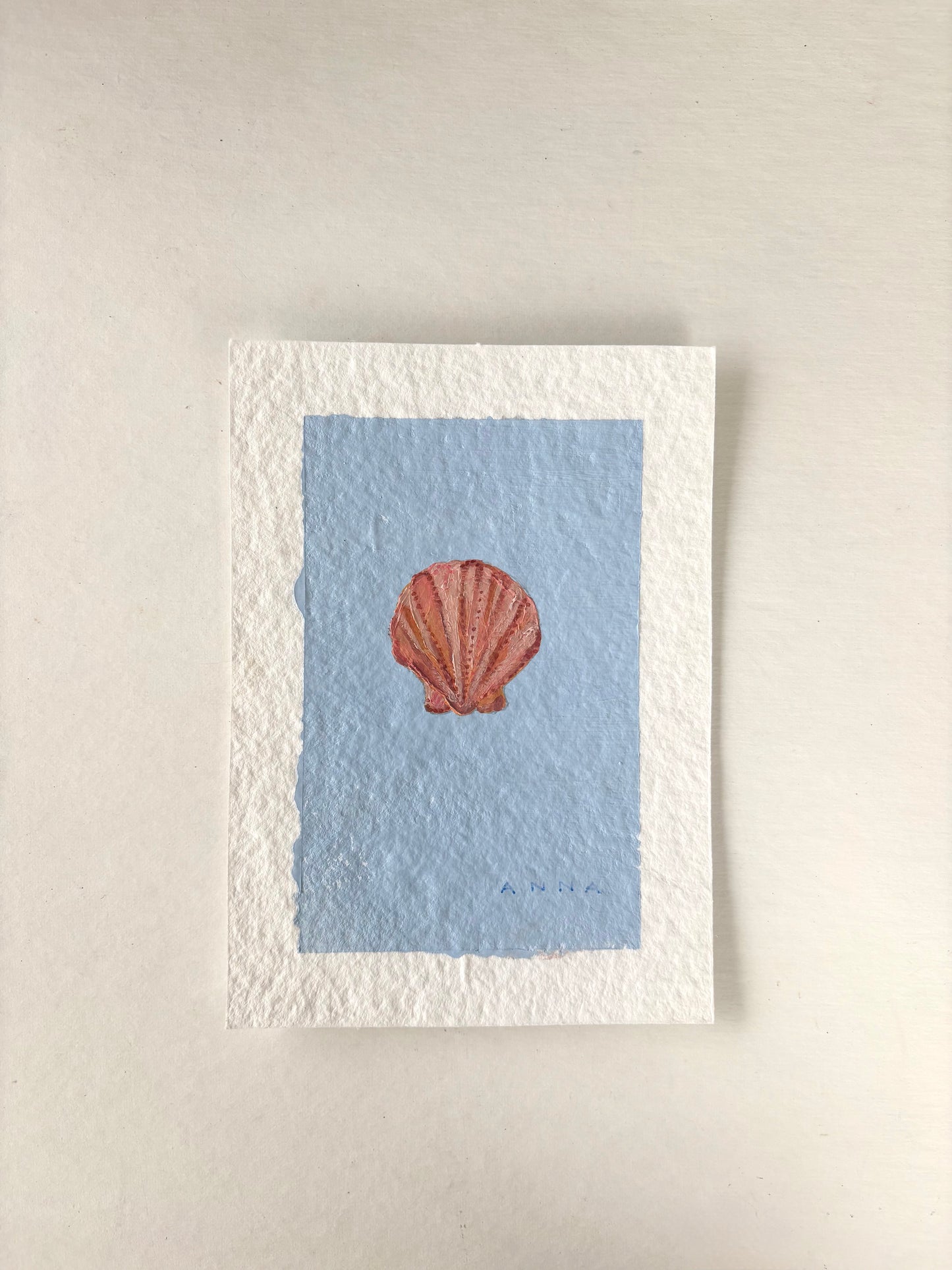 Seashell 0618261
