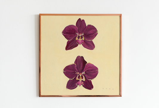 Orchids For Me and You